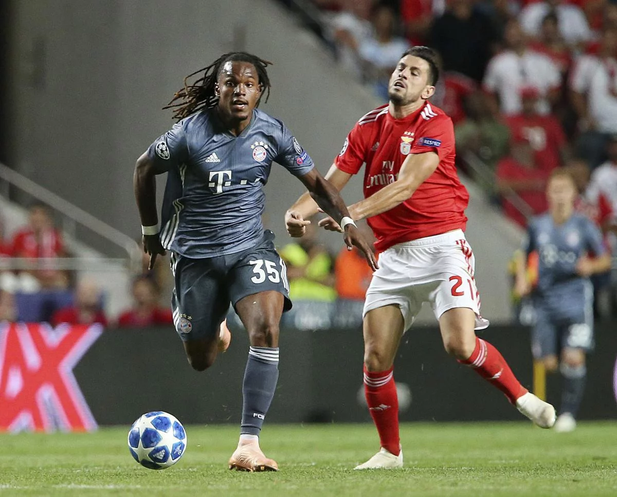post card renato predator pizzi x.webp